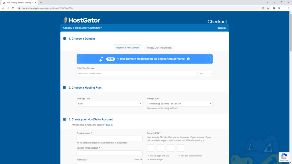 Hostgator domain and web hosting payment